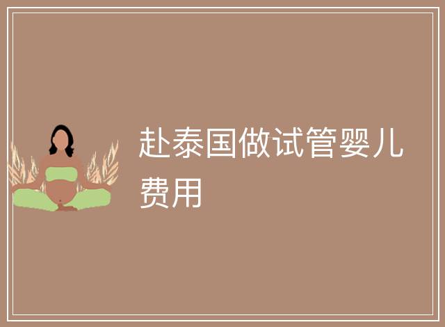 赴泰國(guó)做試管嬰兒費(fèi)用