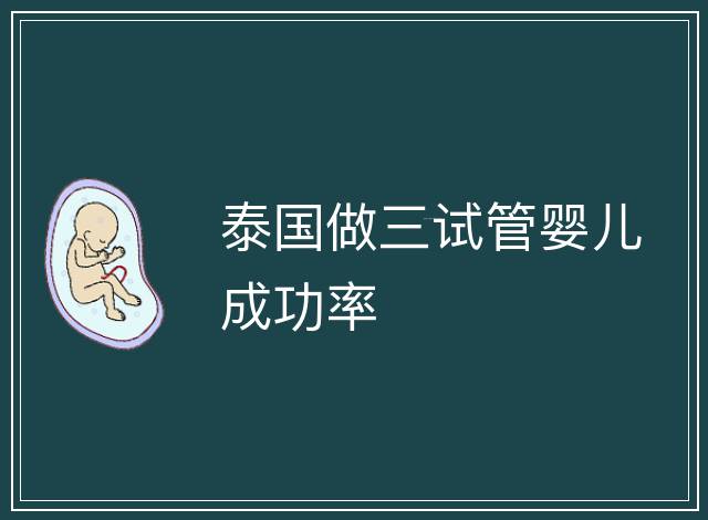 泰國(guó)做三試管嬰兒成功率
