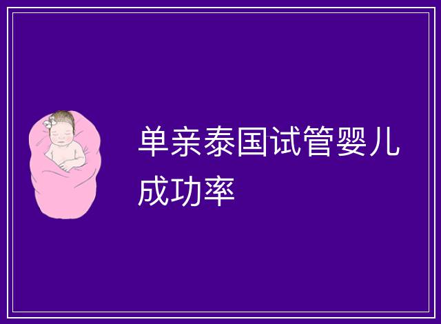 單親泰國(guó)試管嬰兒成功率