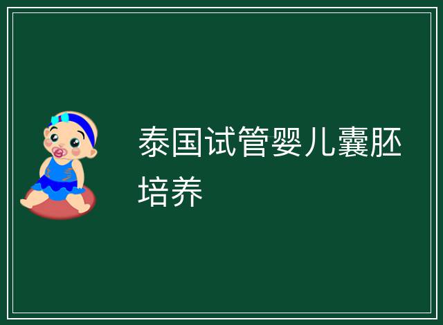 泰國試管嬰兒囊胚培養