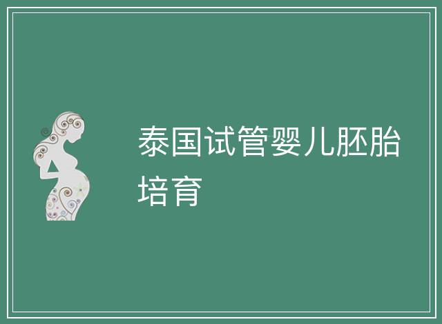 泰國試管嬰兒胚胎培育