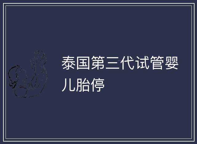 泰國第三代試管嬰兒胎停