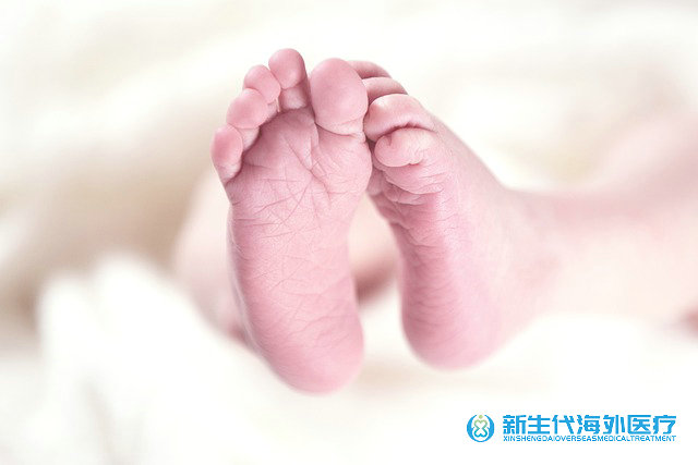 泰國試管生殖