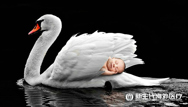 泰國試管嬰兒推薦輔酶q10