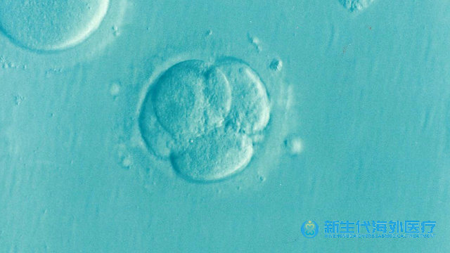 泰國試管可以回國來驗孕嗎