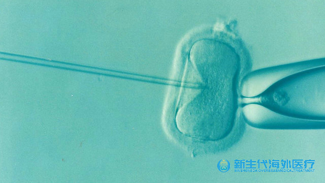 泰國哪些部門可以做二胎試管嬰兒