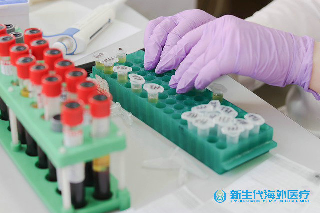 泰國遺傳病試管助孕成功幾率 泰國遺傳病試管助孕成功幾率