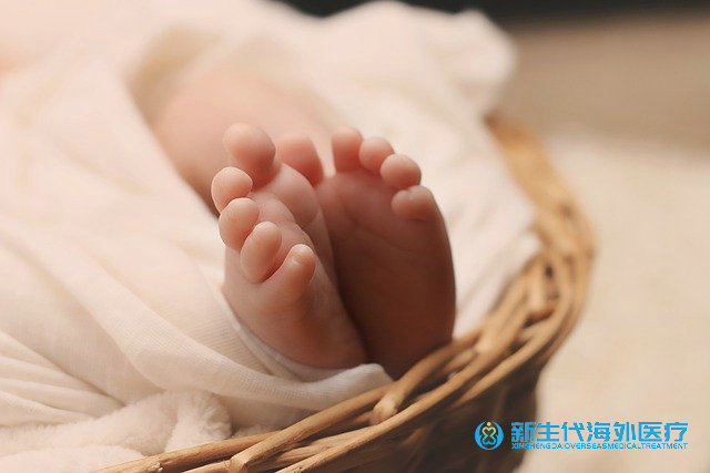 在泰國工人做試管要多少錢 在泰國工人做試管要多少錢
