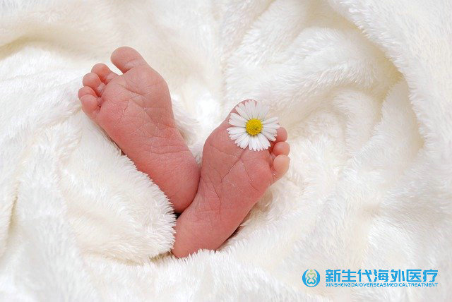 泰國全套花費多少錢能做無結(jié)婚證試管嬰兒 泰國全套花費多少錢能做無結(jié)婚證試管嬰兒