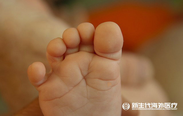 泰國試管嬰兒醫院環境