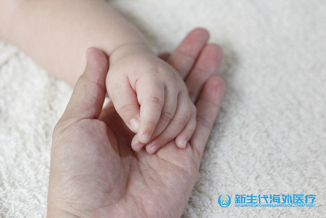 泰國試管助孕中介