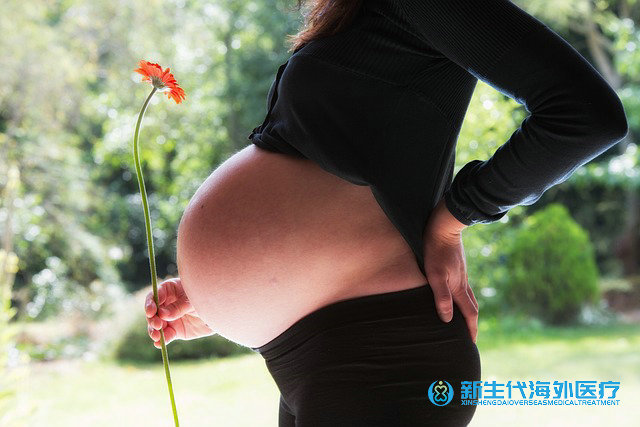 泰國曼谷的試管技術怎么樣