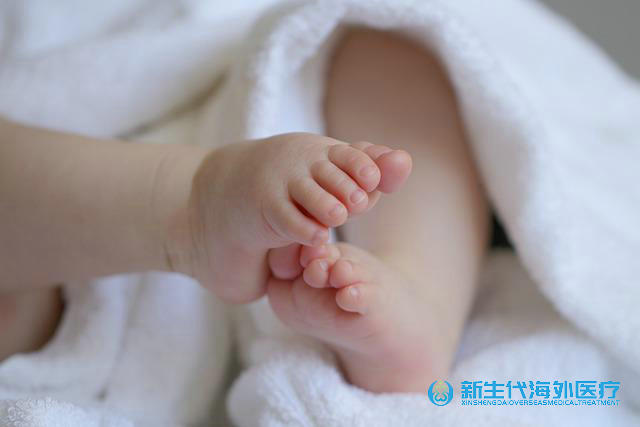 泰國嗣道借卵試管成功率