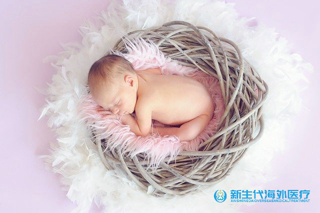 泰國第四代試管嬰兒多少錢