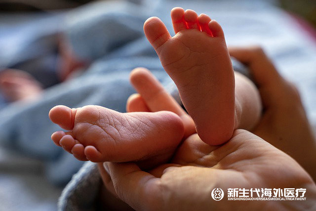 泰國試管嬰兒成功率如何